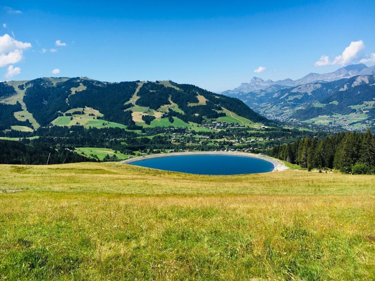 Fleur Des Montagnes Apartment Праз-сюр-Арли Екстериор снимка