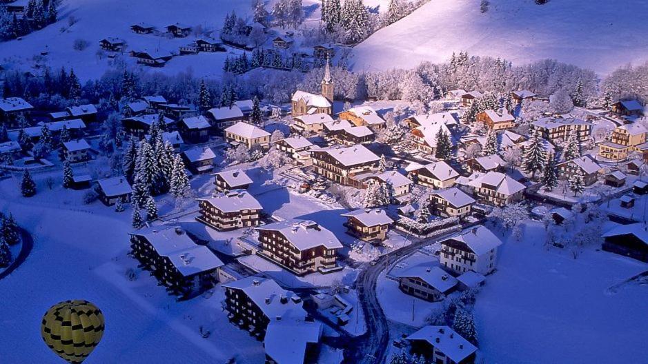 Fleur Des Montagnes Apartment Праз-сюр-Арли Екстериор снимка